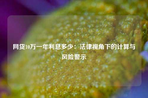 网贷10万一年利息多少：法律视角下的计算与风险警示