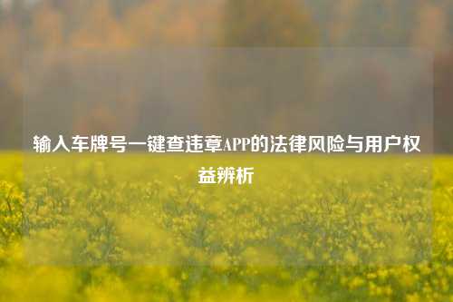 输入车牌号一键查违章APP的法律风险与用户权益辨析