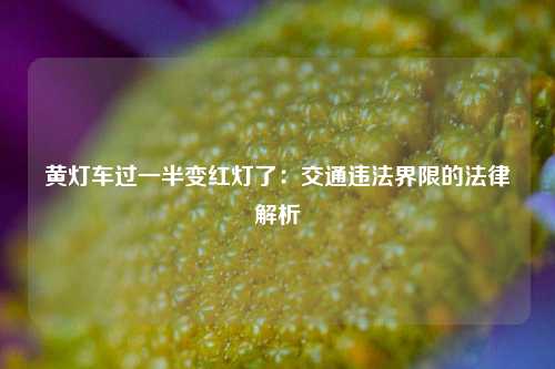 黄灯车过一半变红灯了：交通违法界限的法律解析