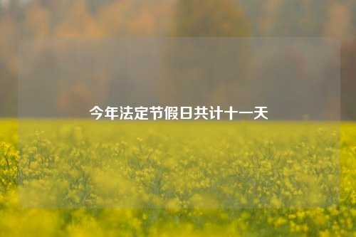 今年法定节假日共计十一天