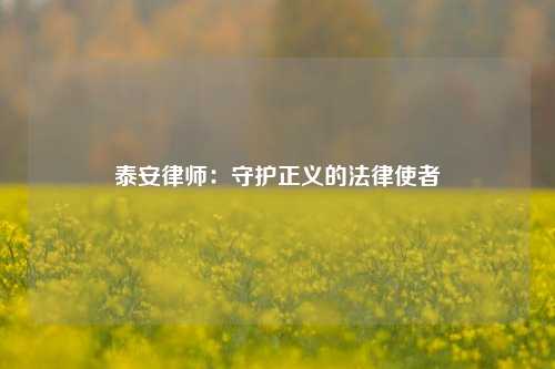泰安律师:守护正义的法律使者