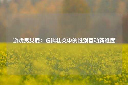 游戏男女屁：虚拟社交中的性别互动新维度