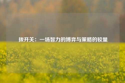 拔开关：一场智力的博弈与策略的较量