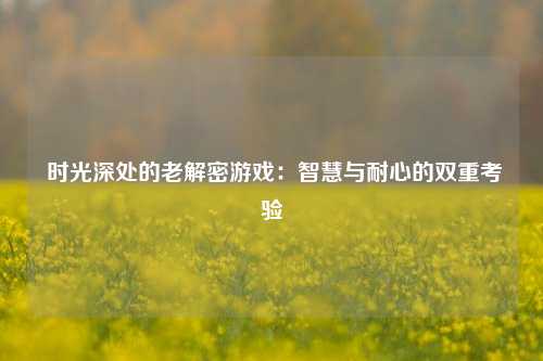  时光深处的老解密游戏：智慧与耐心的双重考验