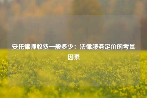 安托律师收费一般多少：法律服务定价的考量因素