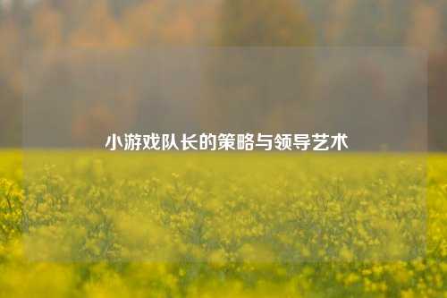  小游戏队长的策略与领导艺术