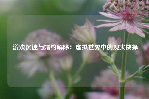  游戏沉迷与婚约解除：虚拟世界中的现实抉择