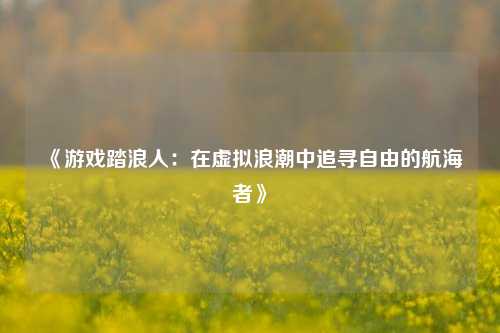 《游戏踏浪人:在虚拟浪潮中追寻自由的航海者》