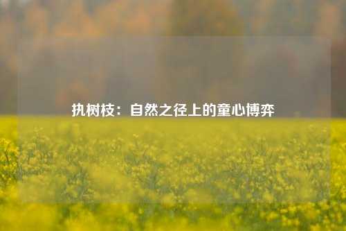 执树枝：自然之径上的童心博弈