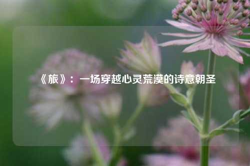  《旅》：一场穿越心灵荒漠的诗意朝圣