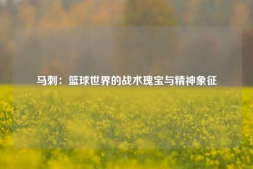 马刺:篮球世界的战术瑰宝与精神象征