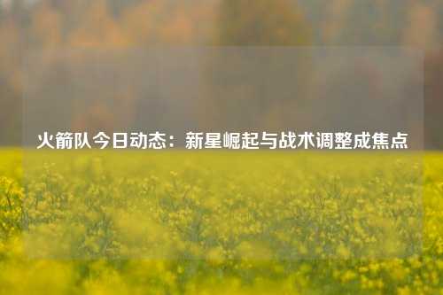 火箭队今日动态：新星崛起与战术调整成焦点