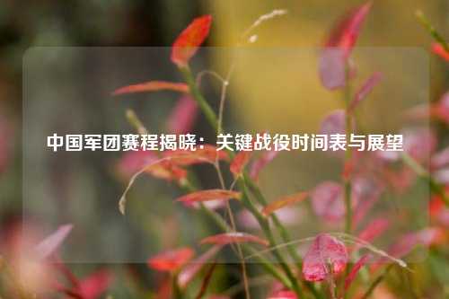 中国军团赛程揭晓：关键战役时间表与展望