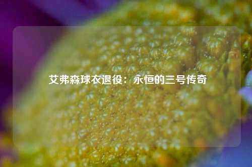  艾弗森球衣退役：永恒的三号传奇