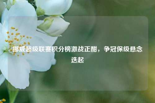 挪威超级联赛积分榜激战正酣，争冠保级悬念迭起