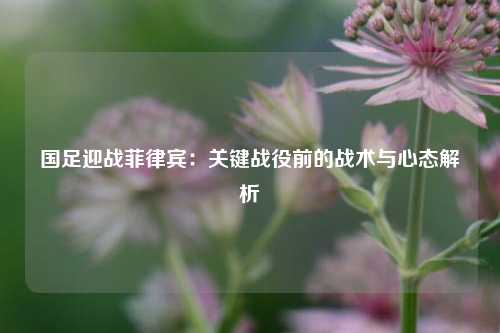 国足迎战菲律宾：关键战役前的战术与心态解析