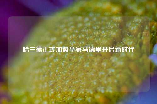 哈兰德正式加盟皇家马德里开启新时代