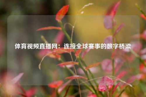 体育视频直播网：连接全球赛事的数字桥梁