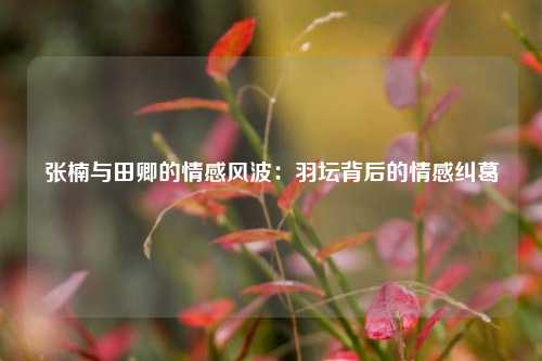 张楠与田卿的情感风波：羽坛背后的情感纠葛