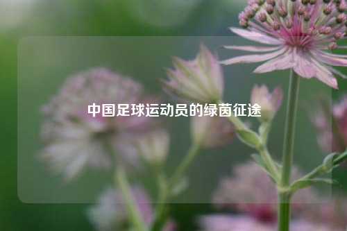 中国足球运动员的绿茵征途