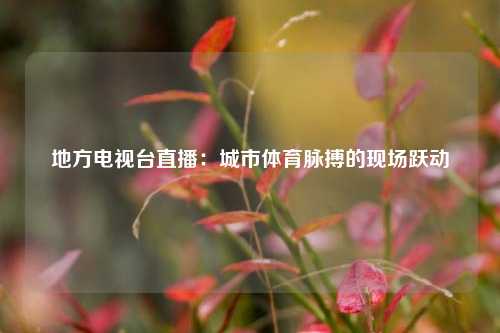 地方电视台直播：城市体育脉搏的现场跃动