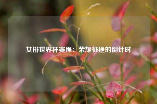 女排世界杯赛程：荣耀征途的倒计时