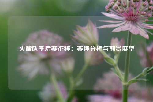 火箭队季后赛征程：赛程分析与前景展望